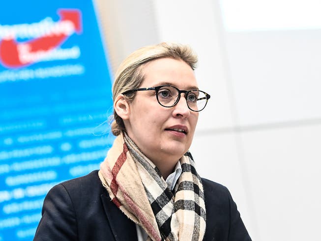 Die rund 130'000 Euro aus der Schweiz hatten AfD-Fraktionschefin Alice Weidel in Bedrängnis gebracht - inzwischen hat die Partei die Bundestagsverwaltung informiert, wo das Geld herkommt. (Bild: KEYSTONE/EPA/FILIP SINGER)