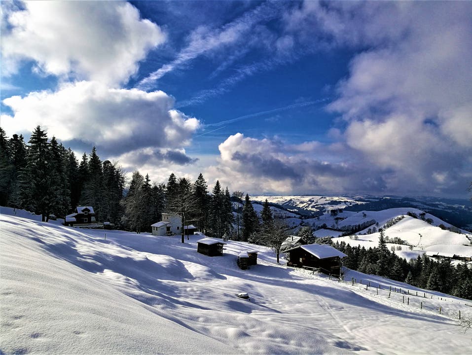 Winterlandschaft im Eigenthal (Bild: Urs Gutfleisch (Eigenthal, 18. Januar 2019))