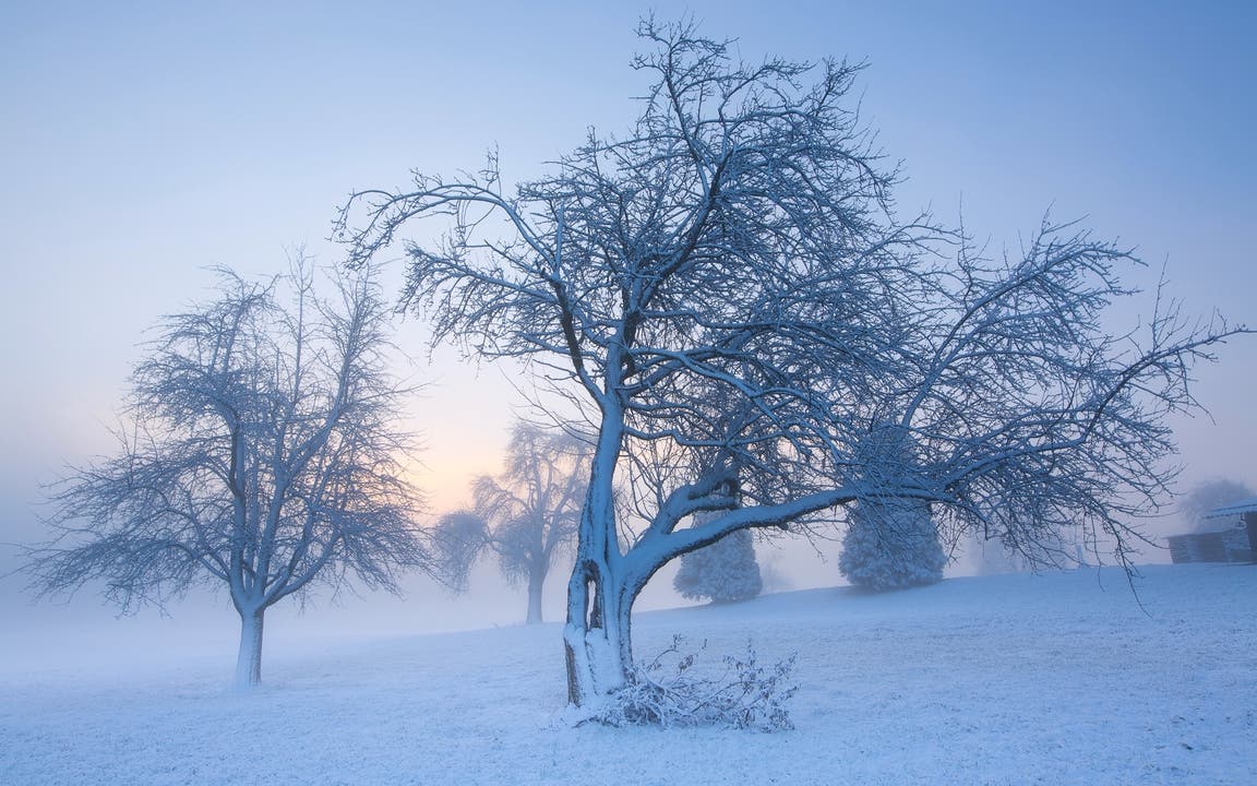 Eisigkalter Morgen in Ettiswil. (Bild: Priska Ziswiler-Heller (Ettiswil, 18. Januar 2019))