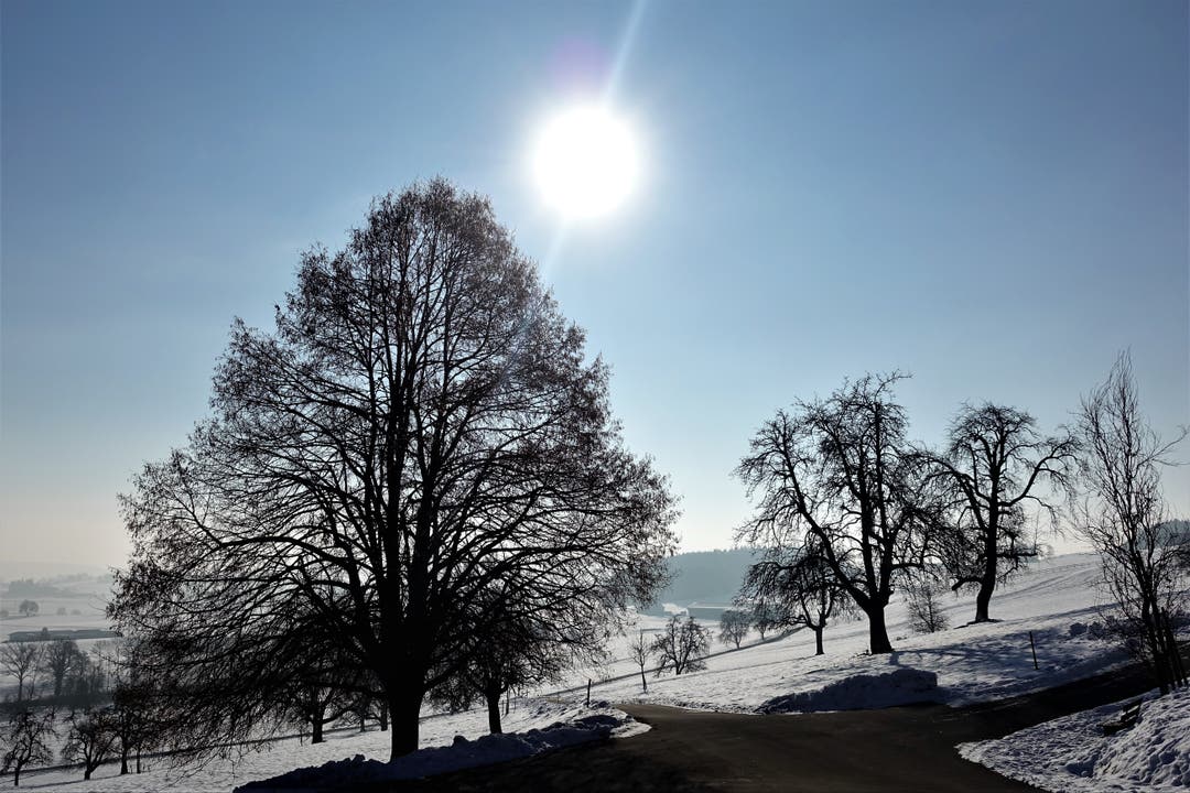 Auf dem Weg zum Buttenberg (Bild: Josef Habermacher (Rickenbach, 28. Januar 2019))