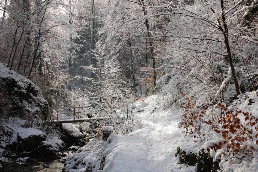 Idyllische Winterstimmung in der Teufelsschlucht (Bild: Irene Wanner (Hägendorf, 29. Januar 2019))