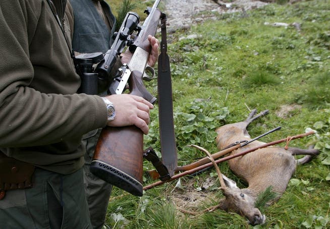 Langgewehre, wie Jäger sie verwenden, sind für Fangschüsse besser geeignet als die Pistolen der Polizei. (Symbolbild: Arno Balzarini/Keystone)