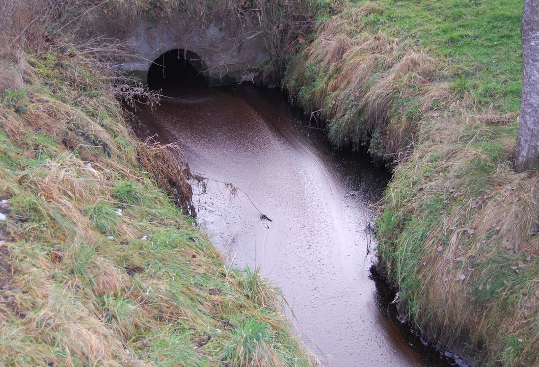 Malters - 27. Januar 2019Eine Passantin sah, dass der Moosgraben stark verschmutzt war. Abklärungen der Polizei ergaben, dass ein Tank einer Kompostieranlage aus noch ungeklärten Gründen überlaufen war. Der entstandene Schaden ist noch nicht abschätzbar. 