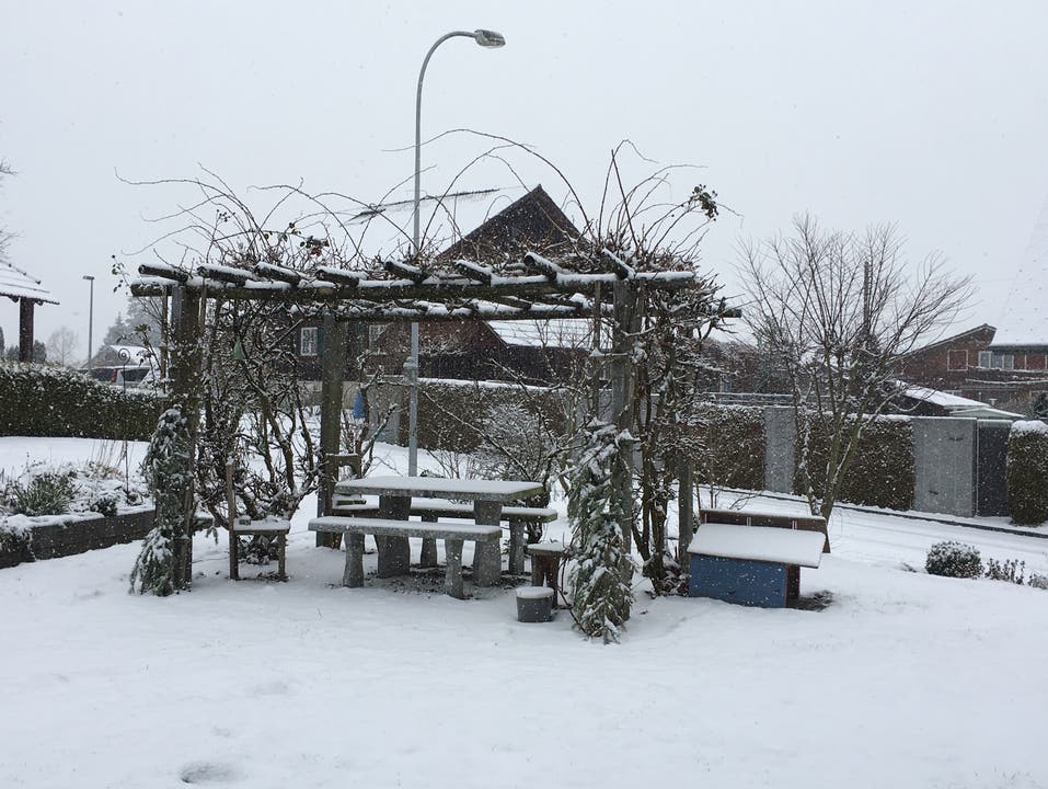 Der Garten in Reiden ist schneebedeckt. (Edith Achermann (Reiden, 5. Januar 2019))