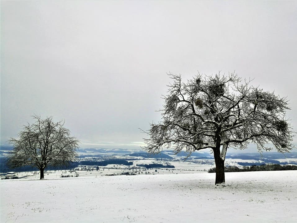 Wunderbare Winterlandschaft (Bild: Urs Gutfleisch (Geuensee, 6. Januar 2019))