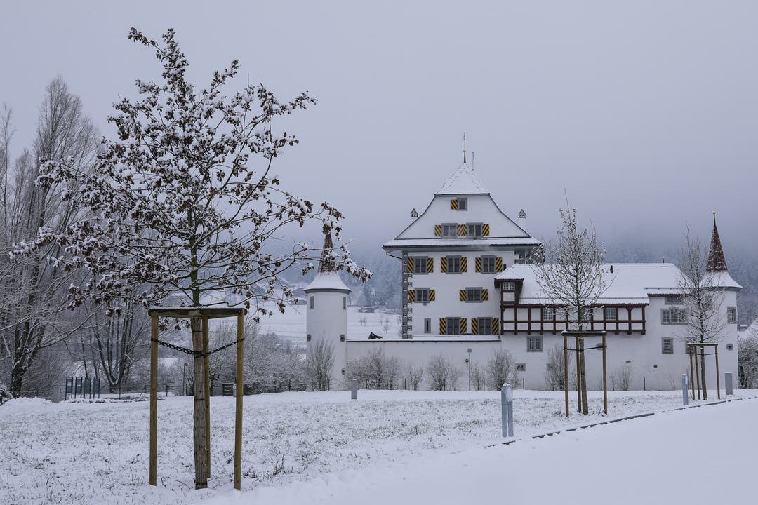 Winterstimmung beim Schloss Wyher. (Bild: André Egli (Ettiswil, 5. Januar 2019))