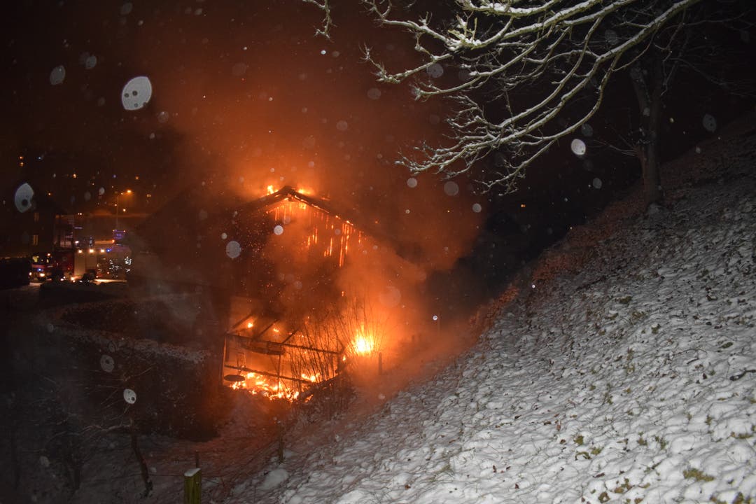 Kriens - 5. JanuarIm Krienser Ortsteil Obernau ist ein Treibhaus niedergebrannt. Eine angrenzende Scheune wurde teilweise durch das Feuer beschädigt. Der Brand ist wegen einem technischen Defekt ausgebrochen. Verletzt wurde niemand. (Bild: Luzerner Polizei)