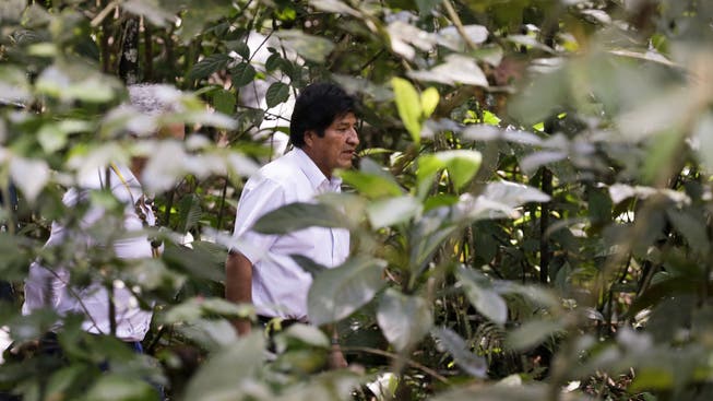 Evo Morales peilt eine weitere Amtszeit als bolivianischer Präsident an. (Bild: AP)