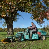 Ueli Glauser sammelt die Birnen unter den grossen Bäumen mit der Maschine ein. (Bild: Mario Testa)