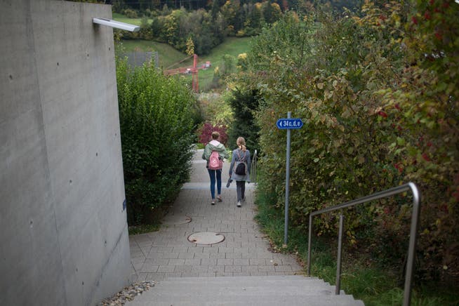 Der Hohermuthweg beim Kammelenberg wurde vor Kurzem fertig gestellt. Die steilen Treppen eignen sich nicht für Personen mit einer Gehbehinderung. (Bild: Benjamin Manser)