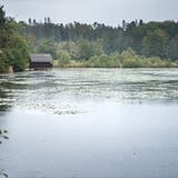 Der Bommer Weiher in der Gemeinde Kemmental ist ein Flachmoor und Amphibienlaichgebiet von nationaler Bedeutung. (Reto Martin)
