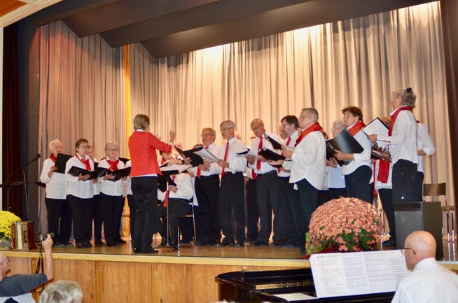 Die Chormitglieder stimmen unter der Leitung von Dirigentin Liselotte Benz ein Lied an. (Bild: PD)