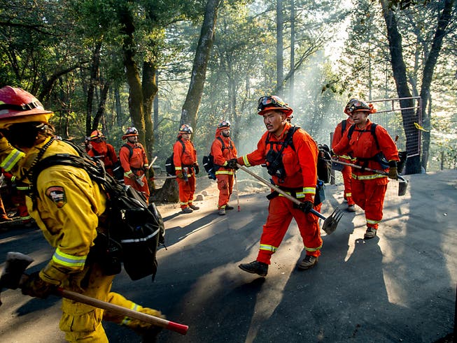 In Kalifornien werden im Bezirk Sonoma im Kampf gegen Buschbrände auch Häftlinge als Feuerwehrleute eingesetzt. (Bild: KEYSTONE/FR34727 AP/NOAH BERGER)