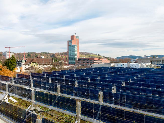 Senkrechte Solaranlagen liefern vergleichbare spezifische Energieerträge wie herkömmliche. (Bild: ZHAW)
