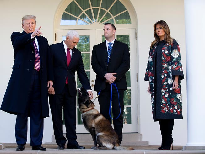 US-Präsident Donald Trump (l.), dessen Frau Melania (r.) und Vizepräsident Mike Pence (2. v. l.) posieren mit Conan vor dem Weissen Haus. (Bild: KEYSTONE/EPA/MICHAEL REYNOLDS)