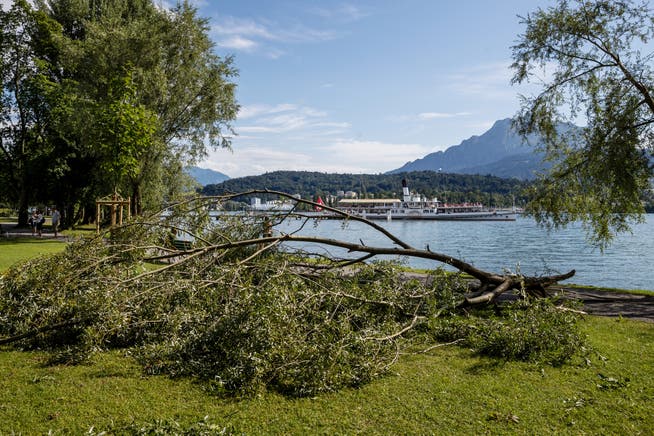 Sturmschäden bei der Lidowiese in Luzern. (Bild: Philipp Schmidli, 6. Juli 2019)