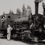 Dieses «Tigerli» mit der Nummer 8485 versah den Dienst im Bahnhof Buchs, stehend Lokführer Paul Beerle. (Bild: Archiv Hansruedi Rohrer)