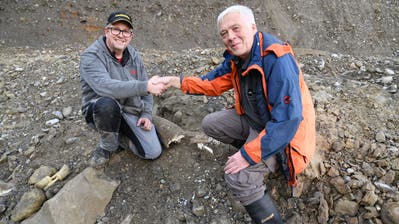 Alter für kalium 40 datierung