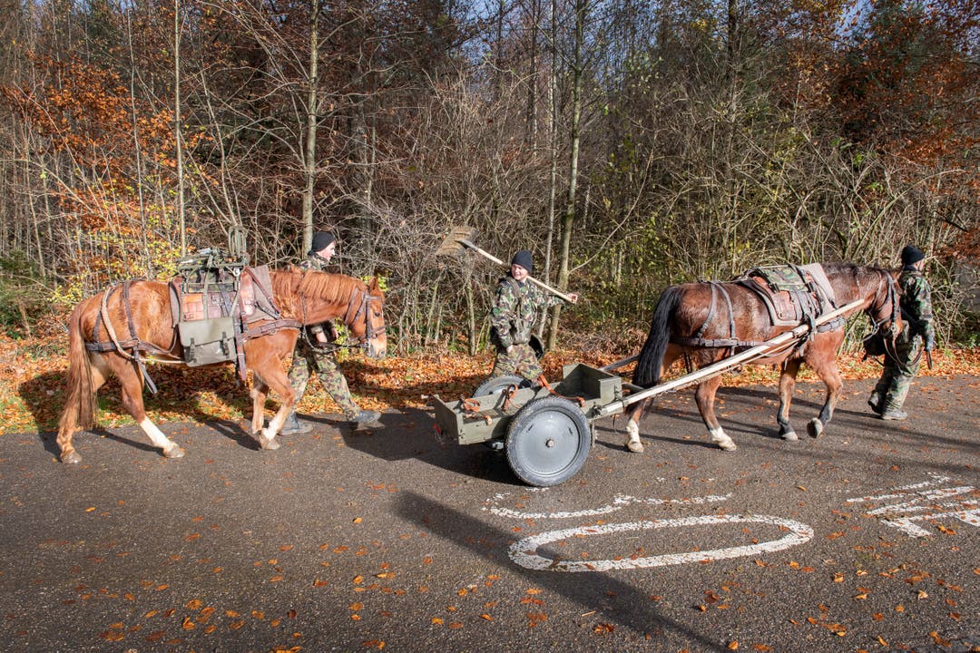 Ein «Besenwagen» der Veterinär- und Armeetier-Abteilung 13 im Einsatz: Rossbollen, die auf der Strasse liegen geblieben sind, werden rasch weggeräumt. (Bild: Urs Bucher - 27. November 2019)