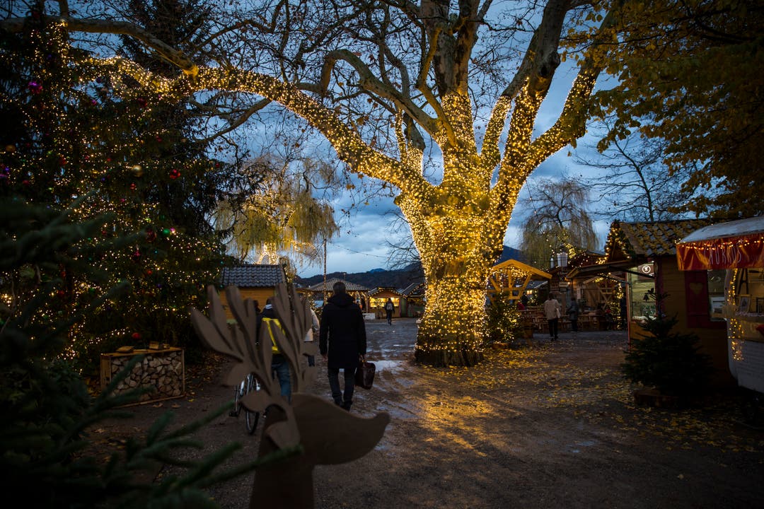 Impressionen vom neuen Weihnachtsmarkt «Rudolf» auf dem Luzerner Inseli.