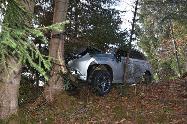 Der Baum stoppte das Auto des 81-Jährigen. (Bild: Kapo)