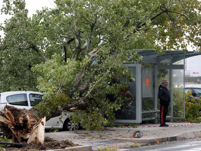 Die heftigen Winde haben in Bayonne, im Südwesten Frankreichs, einen Baum entwurzelt. (Bild: Keystone/AP/BOB EDME)