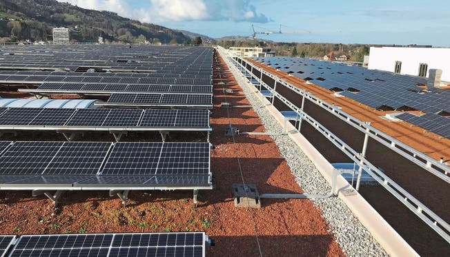 Die Solargenossenschaft erstellte eine Megawatt-PV-Anlage auf einer Fläche von 6000 m2 bei Stadler Rail in St.Margrethen.
