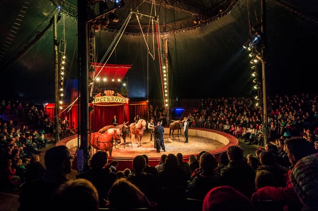 Eine Szene aus besseren Tagen: Das volle Circus-Royal-Zelt bei der Premiere in Weinfelden.