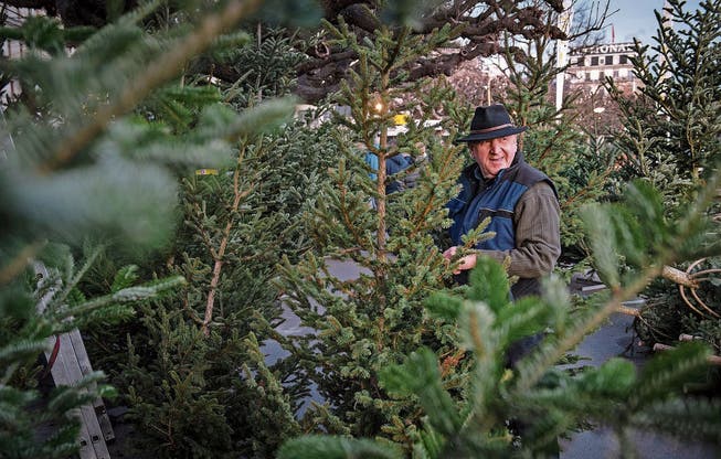 Toni Vogel verkauft seit sechs Jahrzehnten Christbäume.