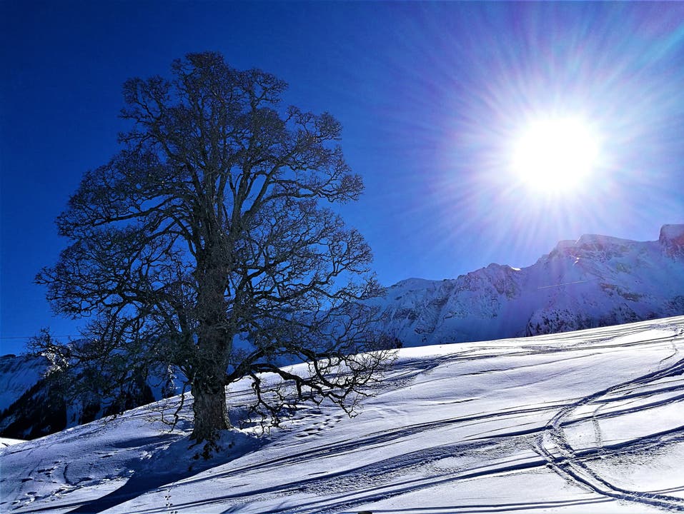 Strahlender Sonnenschein auf die Winterlandschaft. (Bild: Urs Gutfleisch, Sörenberg, 13. Februar 2019)