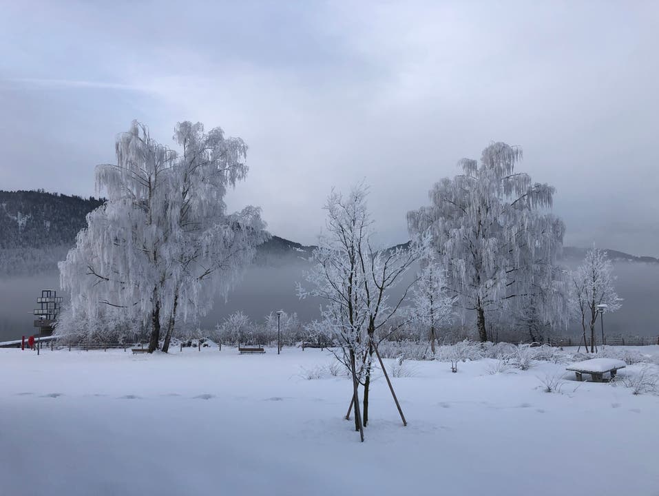 Der Winter ist ein wahrer Künstler. (Bild: Ernst Henggeler, Aegeribad Oberägeri, Februar 2019)