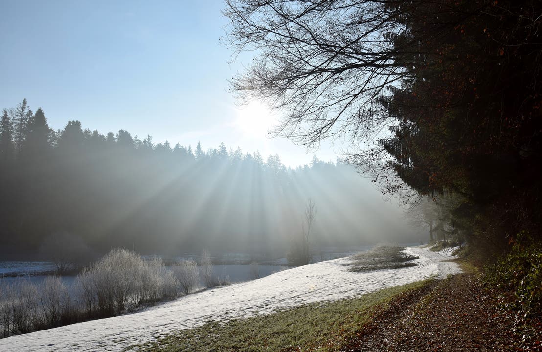 Morgenlicht auf dem Wanderweg im Ostergau. (Bild: Hedy Muff-Ruckli (Willisau, 14. Februar 2019))