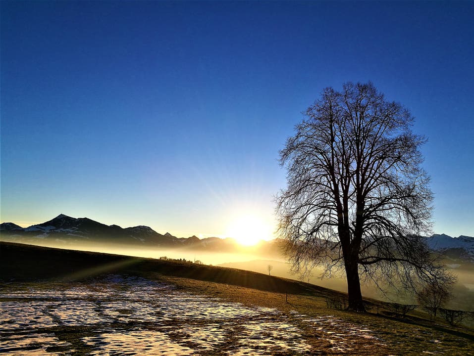 Ein wunderbarer Sonnenaufgang auf dem Sonnenberg. (Bild: Urs Gutfleisch, Luzern, 16. Februar 2019)