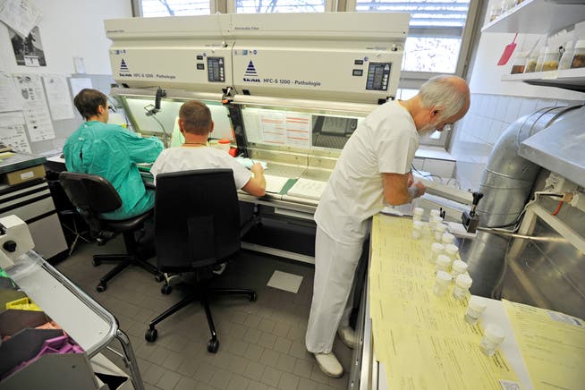Im Kantonsspitals Münsterlingen werden Organteile auf Krebszellen untersucht. (Bild: Reto Martin)