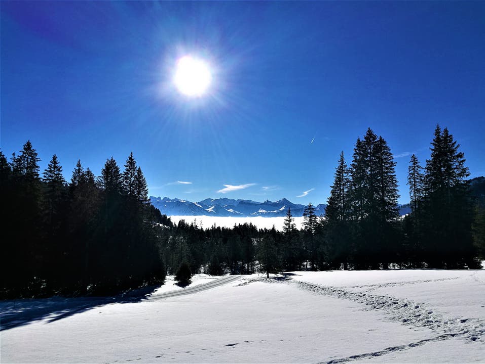 Eine wunderbare Winterlandschaft mit Ausblick auf das Nebelmeer und die Berge. (Bild: Urs Gutfleisch, Glaubenberg, 23. Februar 2019)