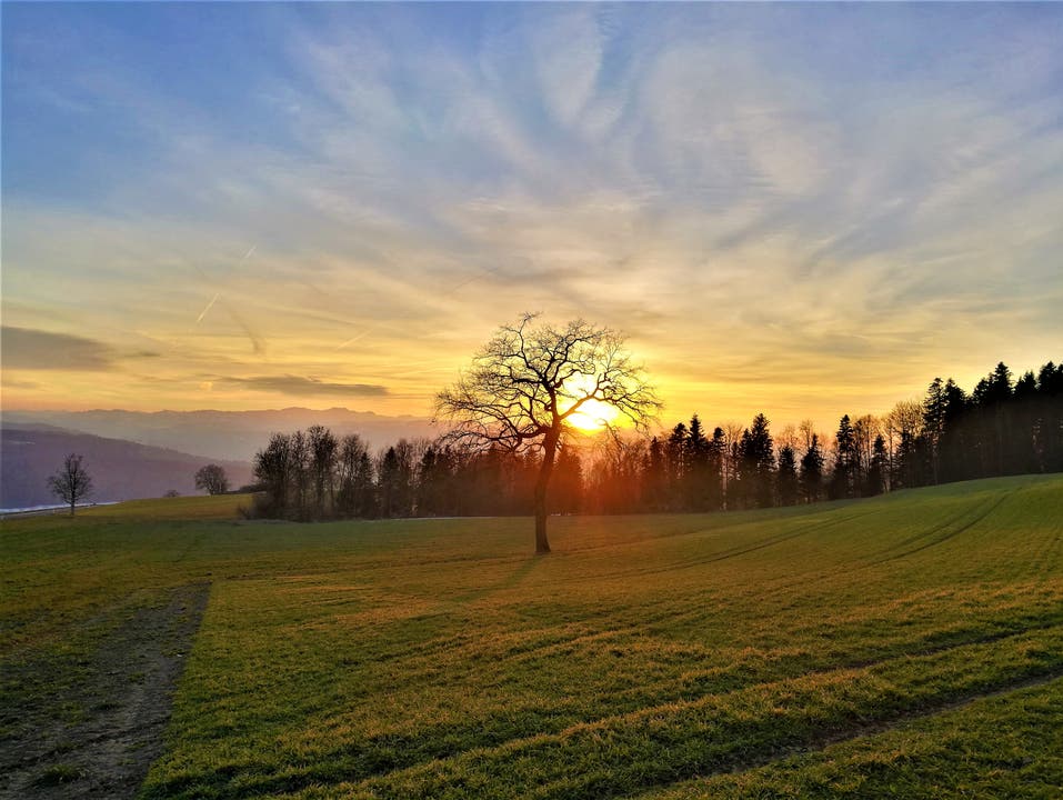 Wunderbar farbiger Sonnenuntergang. (Bild: Urs Gutfleisch, Ruswil, 26. Februar 2019)