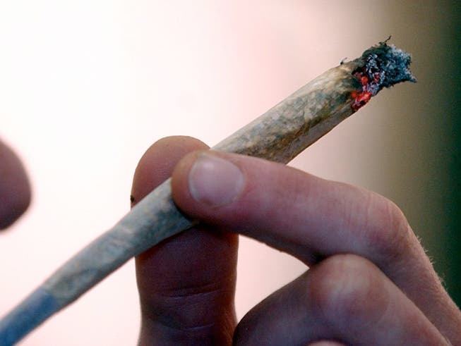 Cannabis legalisieren, entkriminalisieren? Nein, sagt der Bundesrat, gibt aber grünes Licht für wissenschaftliche Studien zum Cannabis-Konsum. (Bild: KEYSTONE/EDI ENGELER)