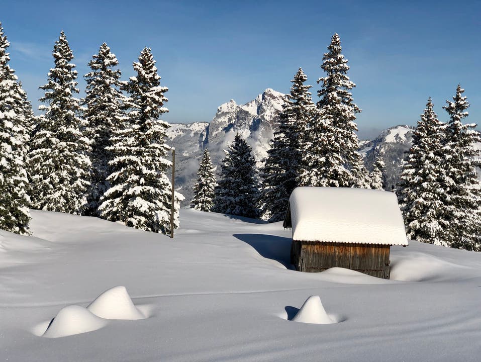 Winterbild von unterhalb des Klingenstocks (Bild: Markus Brülhart (Klingenstock, 4. Februar 2019))