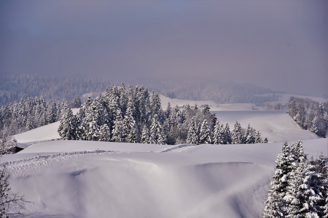 Eine winterliche Traumlandschaft im Napfbergland. (Bild: Alfred Herzog (Lutherntal, 4. Februar 2019))