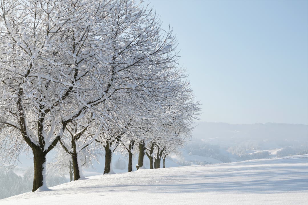Wunderschöne Winterlandschaft auf dem Vorberg in Willisau- (Bild: Irene Wanner, Wilisau, 5. Februar 2019)