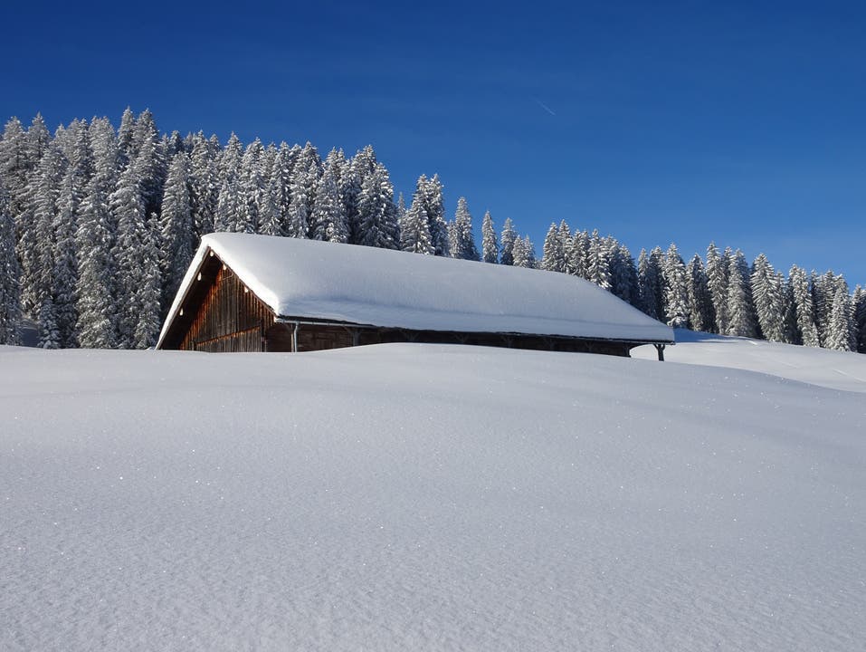 Verschneiter Alpstall. (Bild: Walter von Holzen, Hochstuckli, 4. Februar 2019)