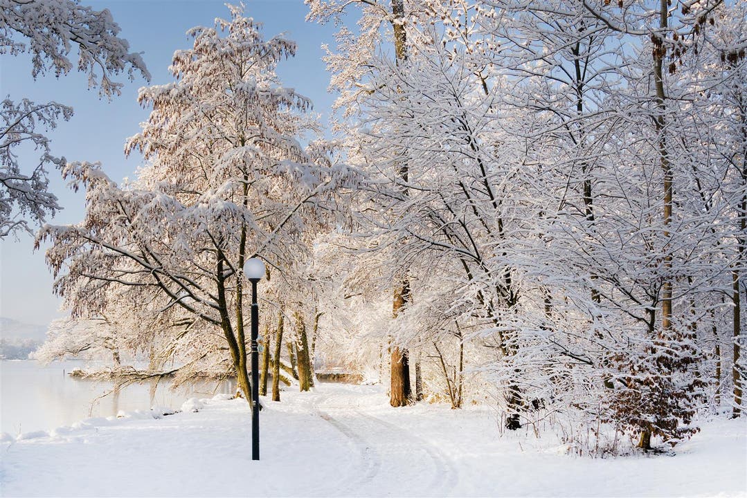 Herrliche Winterstimmung im Villettenpark in Cham. (Bild: Anita Imfeld-Leu, 5. Februar 2019)