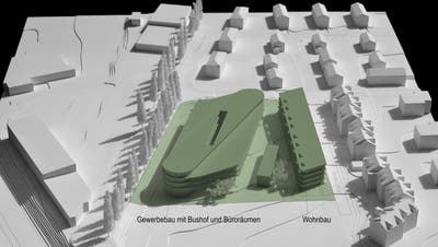 Die Visualisierung zeigt die Dimensionen des geplanten Reiseterminals samt Wohnüberbauung entlang der Schaffhauserstrasse (Pappelallee) mit Sicht aus Westen. (Bild: PD/Architektur Strut)