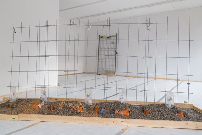 Vogelfutter unter Draht: Valentina Minnig hat das Leben im Garten des Kunstraums o.T. in eine Installation übersetzt. (Bild: Mario Caviezel/PD, Luzern, 2. März 2019)