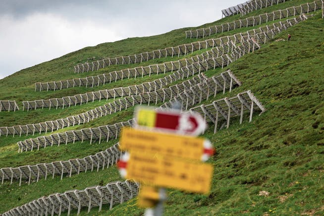 Lawinenverbauungen im Prättigau: In der Schweiz sind Naturgewalten und der Schutz davor allgegenwärtig. (Bild: Arno Balzarini/Keystone)