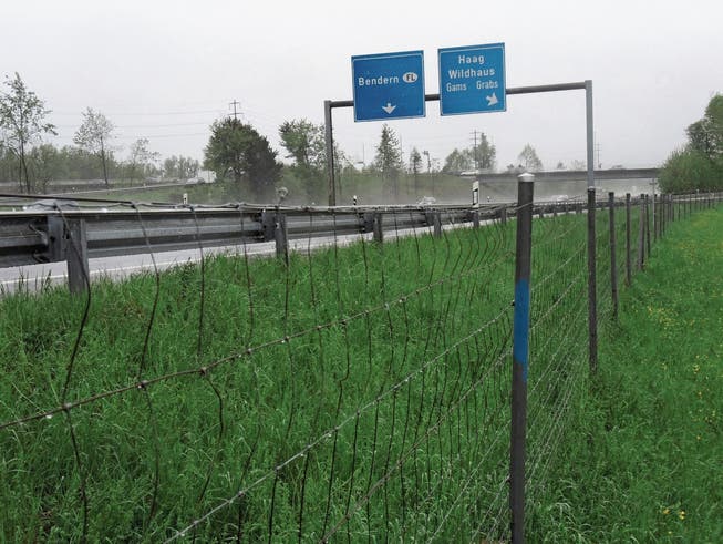 Ende 2020 wird hier eine Lärmschutzwand stehen: Der Bund plant Massnahmen für betroffene Gebäude entlang der Autobahn Höhe Anschluss Haag. (Bild: Armando Bianco)