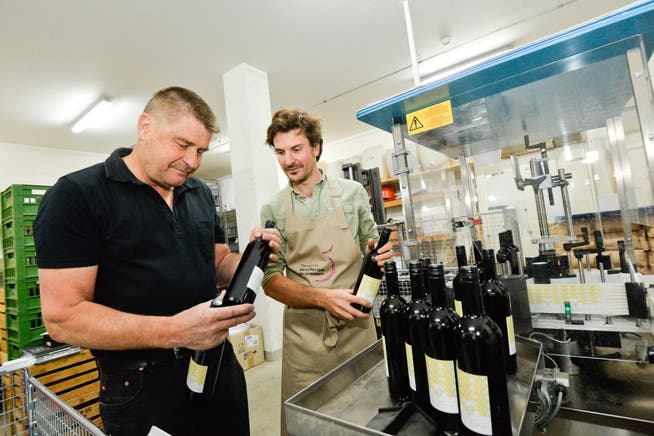 Der Wein «Tous ensemble» wird von den Arenenberger Winzer Michael Polich und Peter Mössner abgefüllt und etikettiert. (Bild: Donato Caspari)