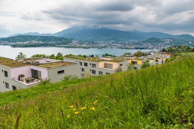 Die Stadtentwicklung sollte auch die Umgebung miteinbeziehen. (Bild: Roger Grütter, Luzern, 30. April 2019)