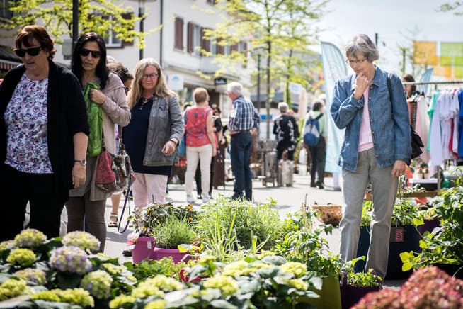 Impression vom Gartentag 2018 auf dem Boulevard in Kreuzlingen. (Bild: Reto Martin)