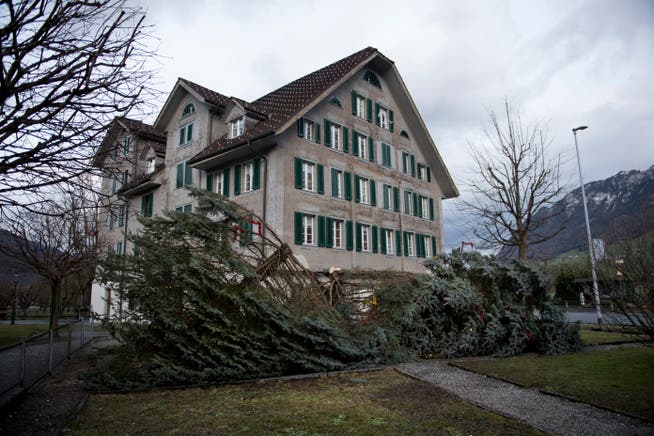 «Burglind» brachte selbst den Weihnachtsbaum beim Wohnhaus Mettenweg zu Fall. (Bild: Corinne Glanzmann, Stans, 3. Januar 2018)